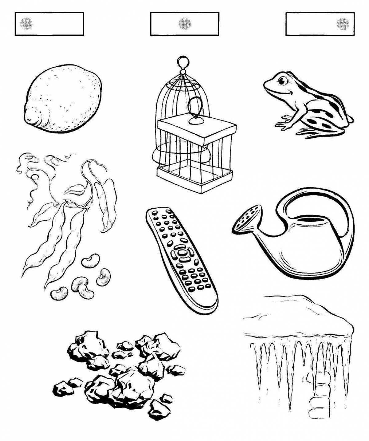 Detailed differentiation to coloring page t