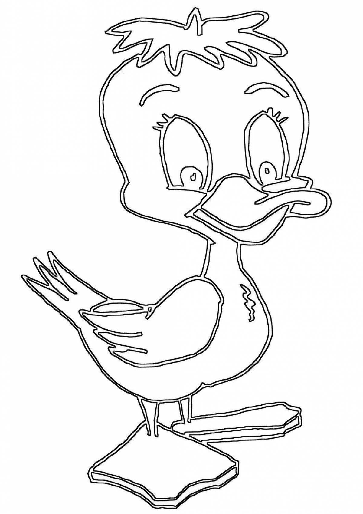Coloring duck alafanfan