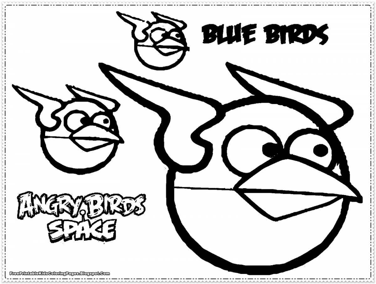 Charming angry birds seasons coloring book