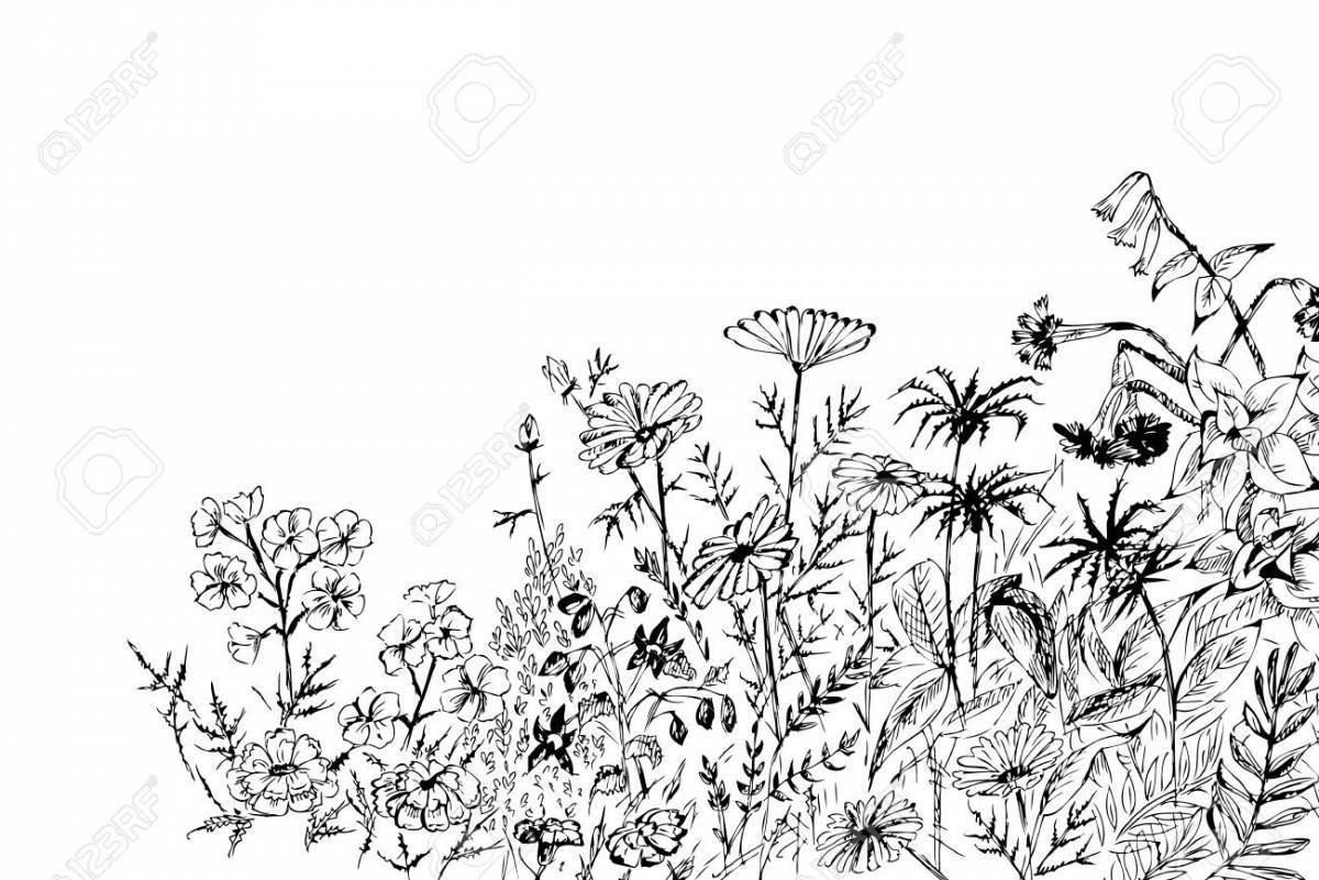 Роскошная раскраска поле с цветами