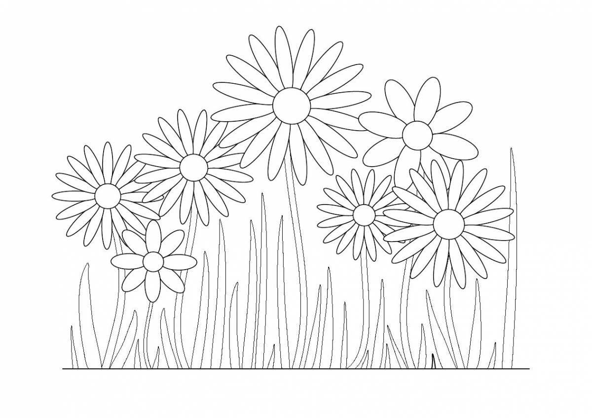 Violent coloring field with flowers