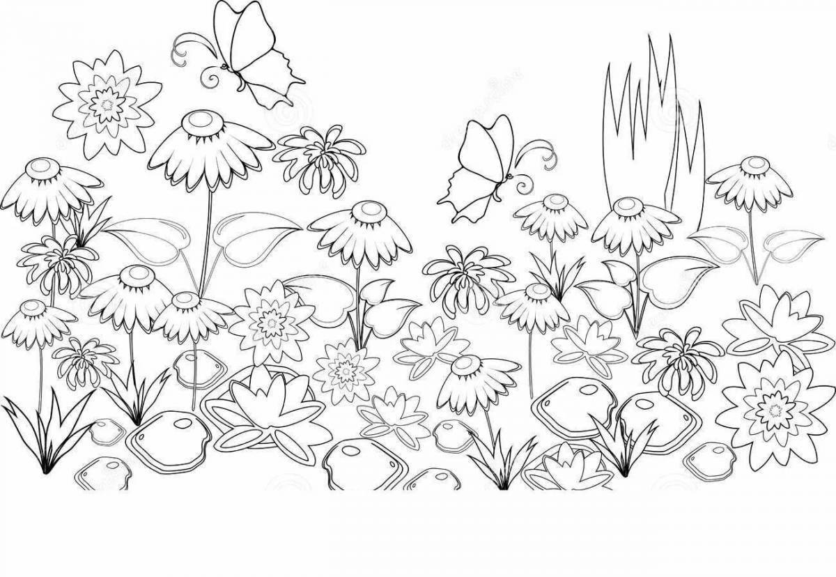 Coloring book exalted field with flowers