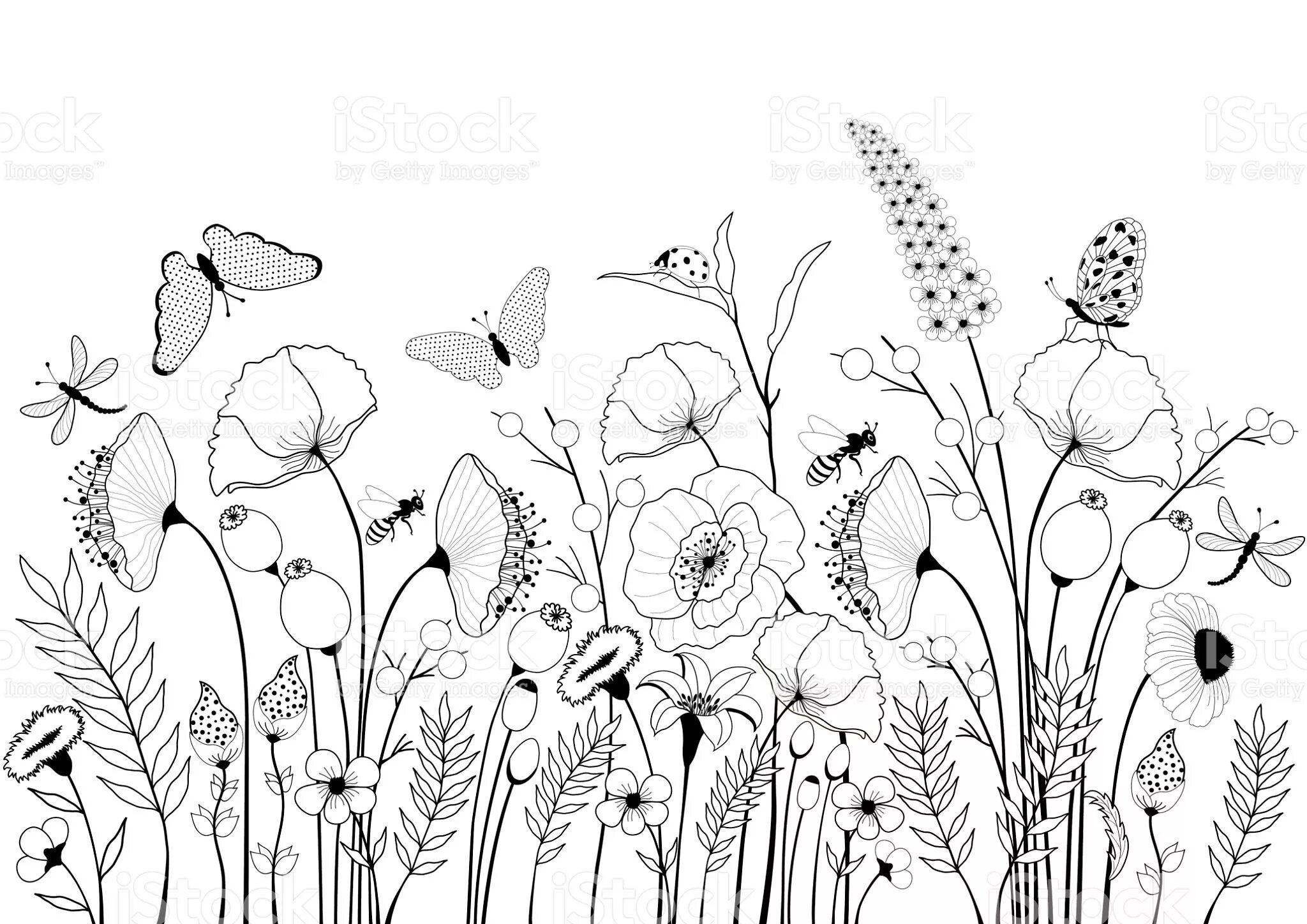 Поле с цветами #5