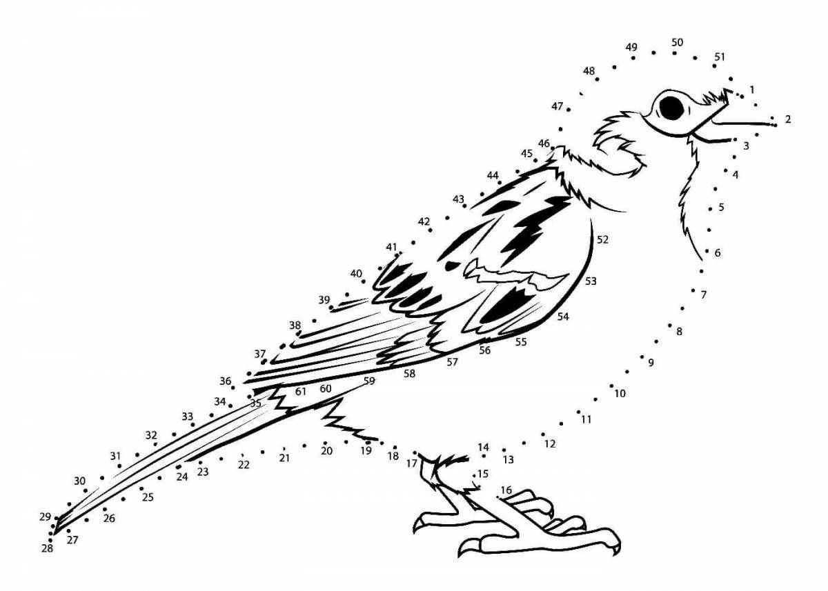 Drawing of a radiant ruffled sparrow