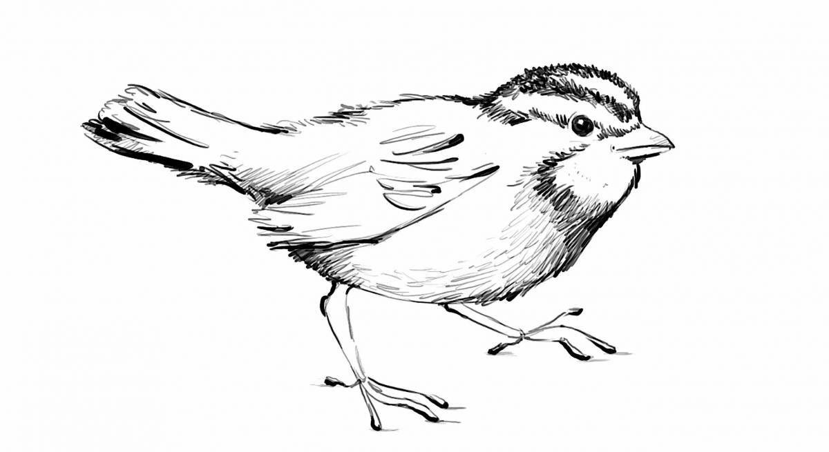 Animated drawing of a ruffled sparrow