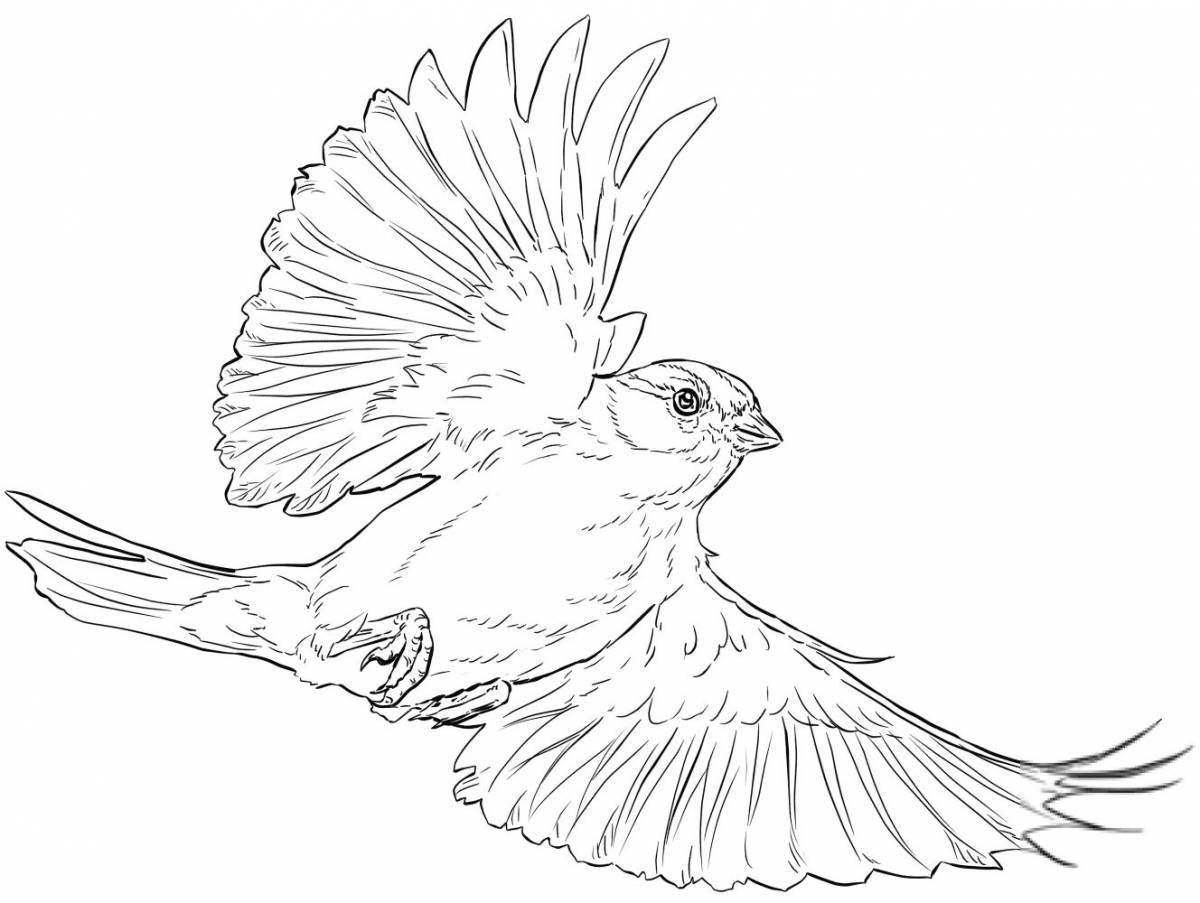 Creative drawing of a ruffled sparrow