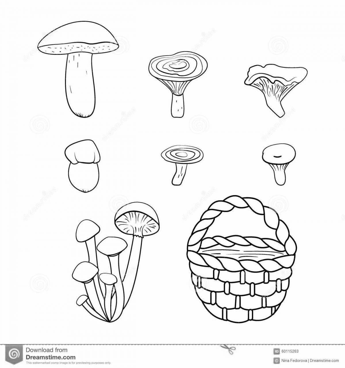 Coloring book funny basket with mushrooms