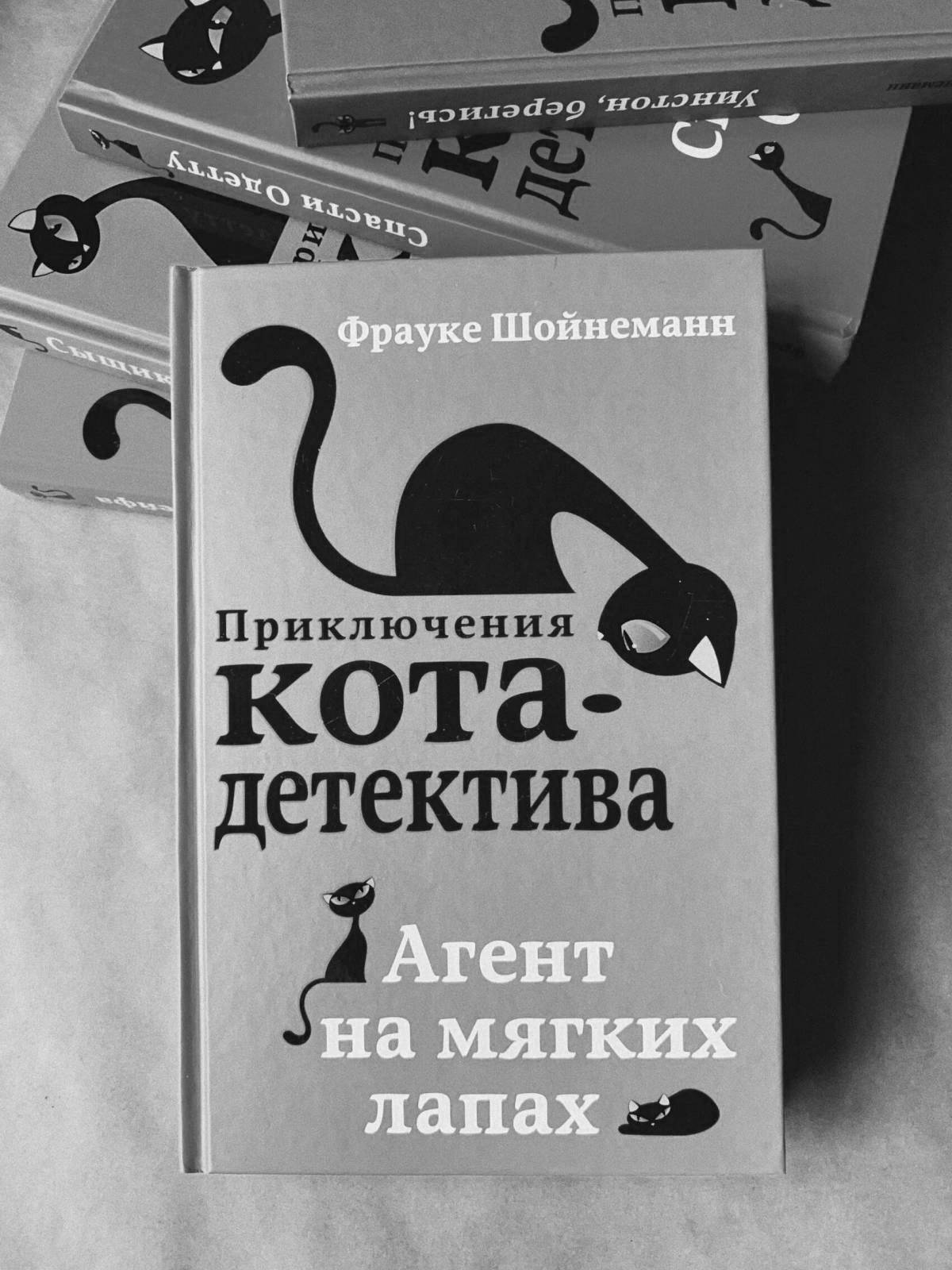 An amazing detective cat adventure