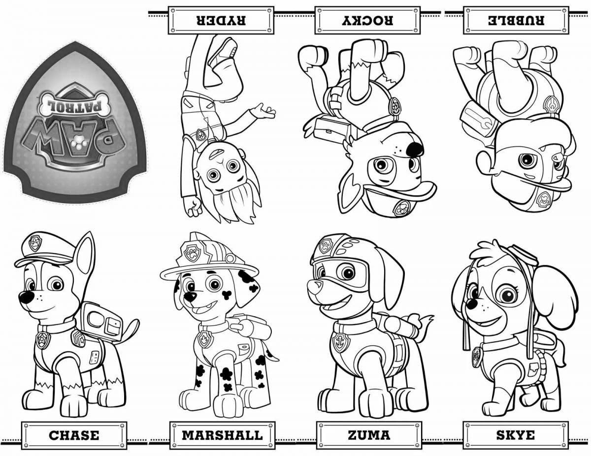 Awesome Paw Patrol coloring video