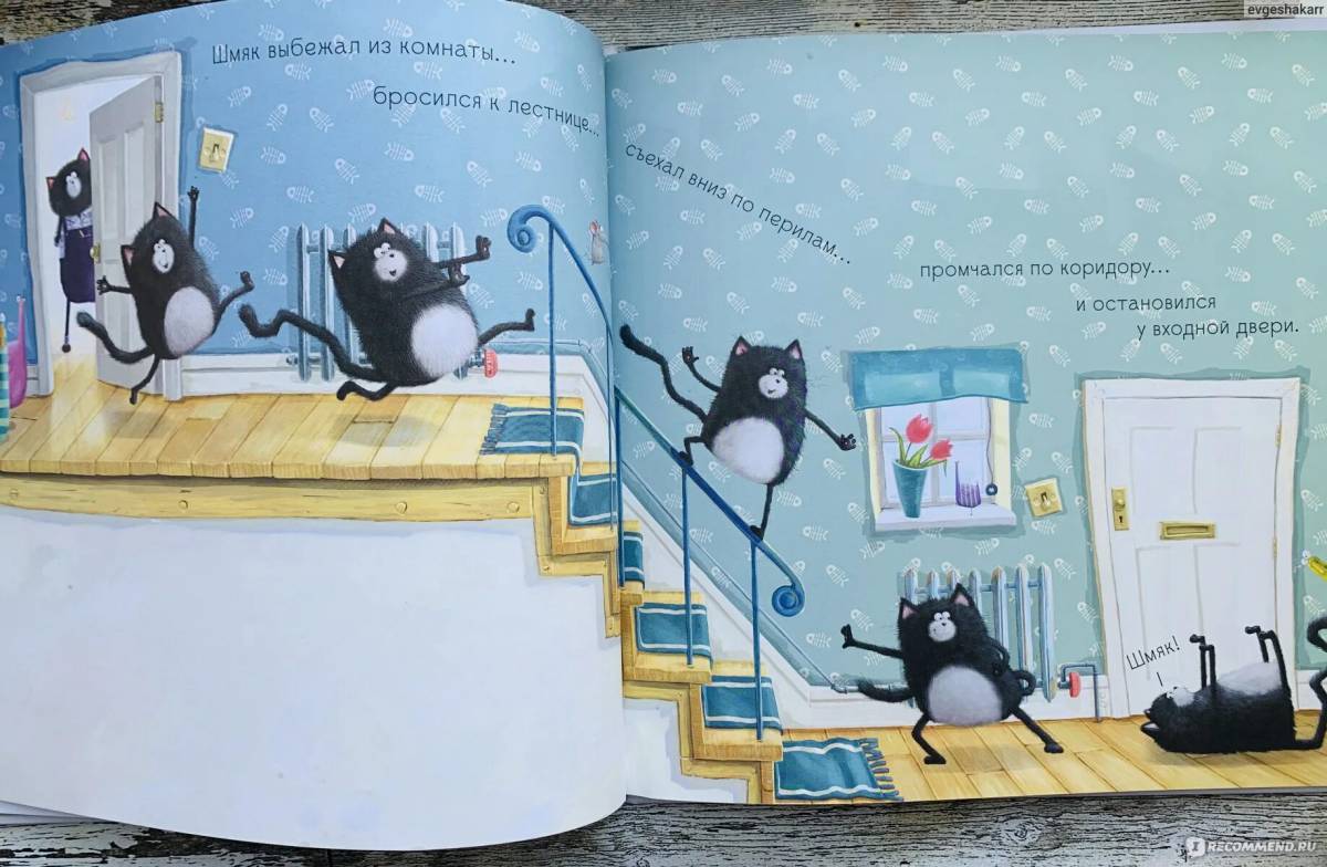 Shmyak and cheesecake #3