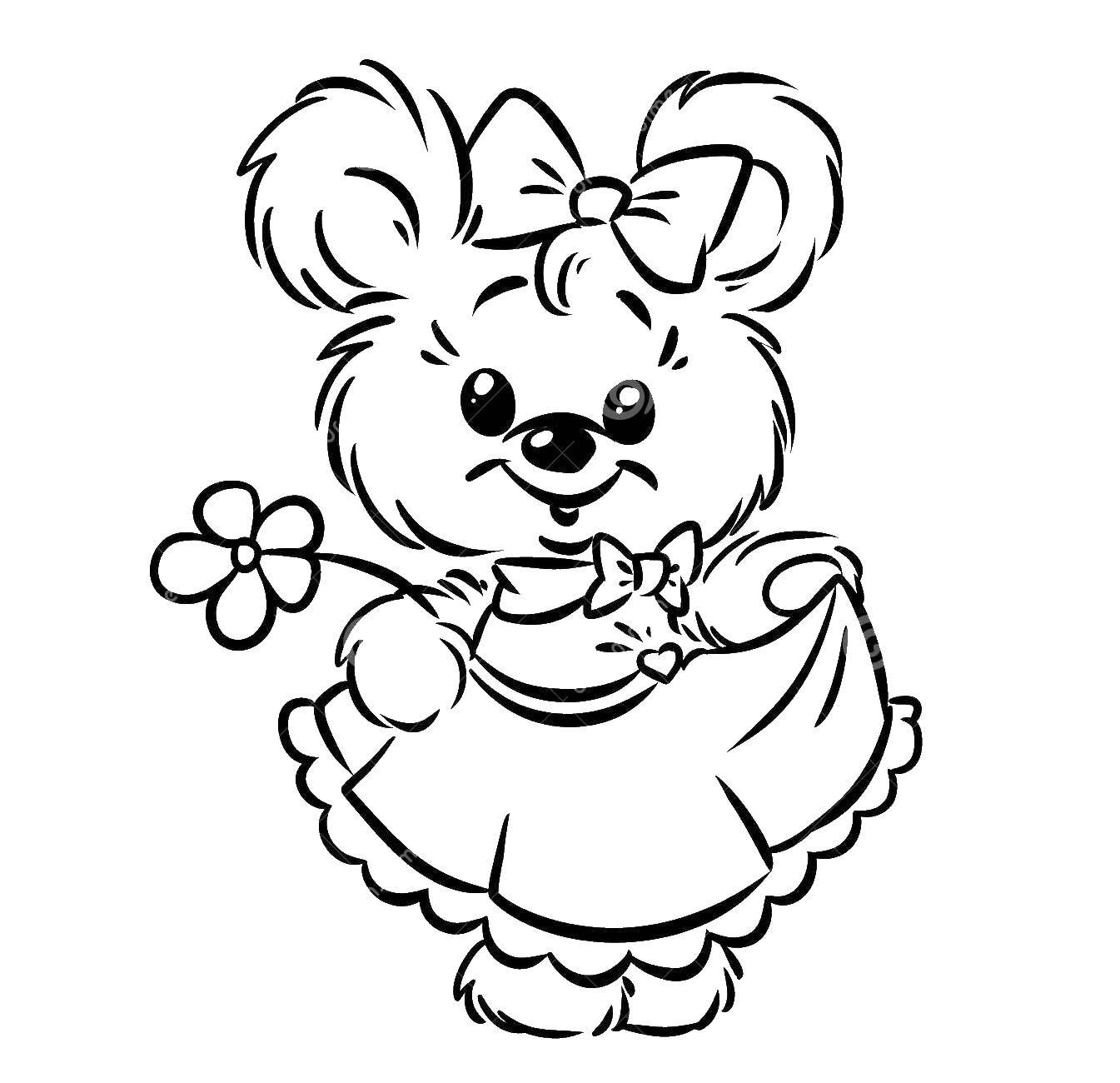 Dazzling bear with a bow coloring book