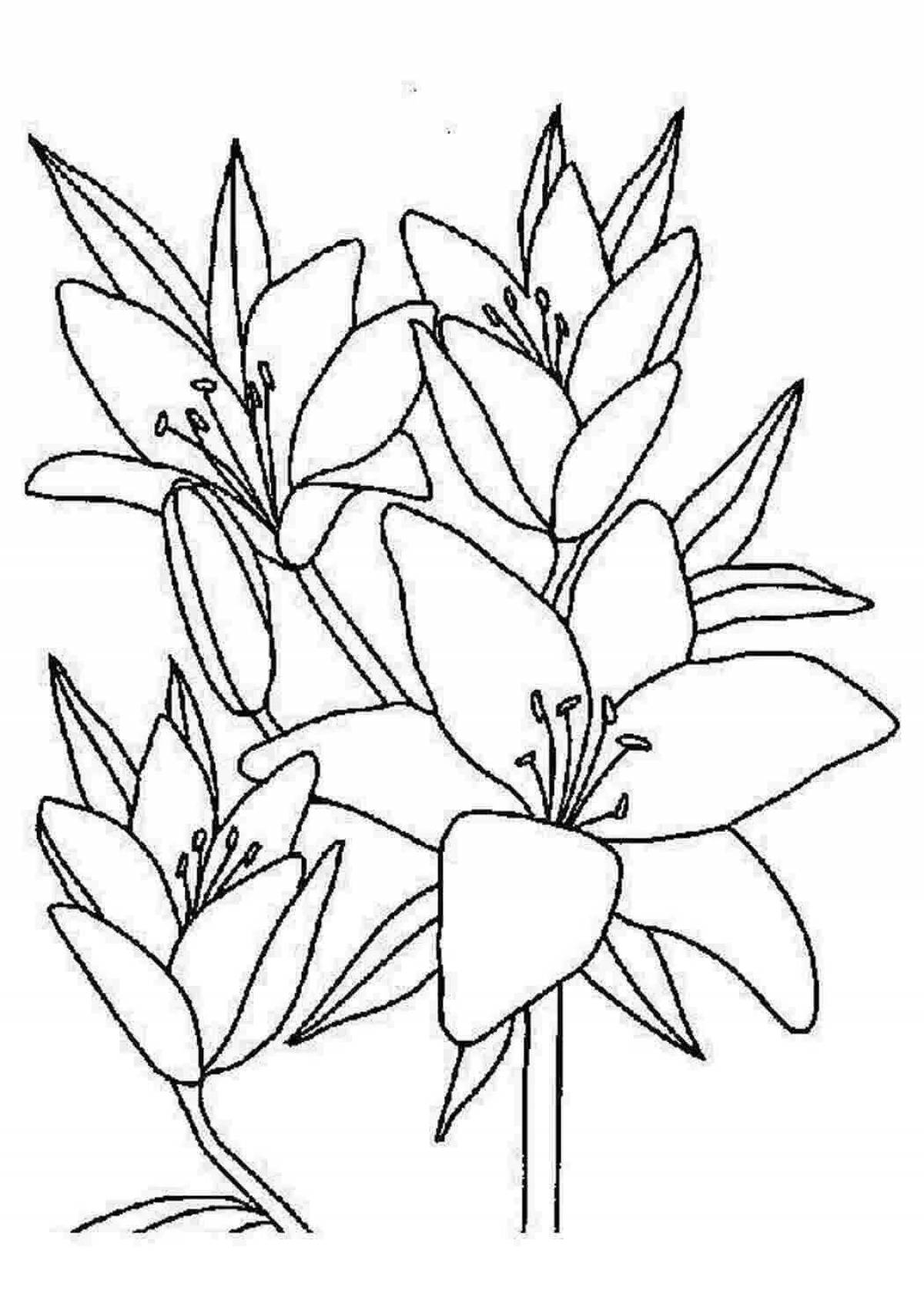 Delightful lily flower coloring page