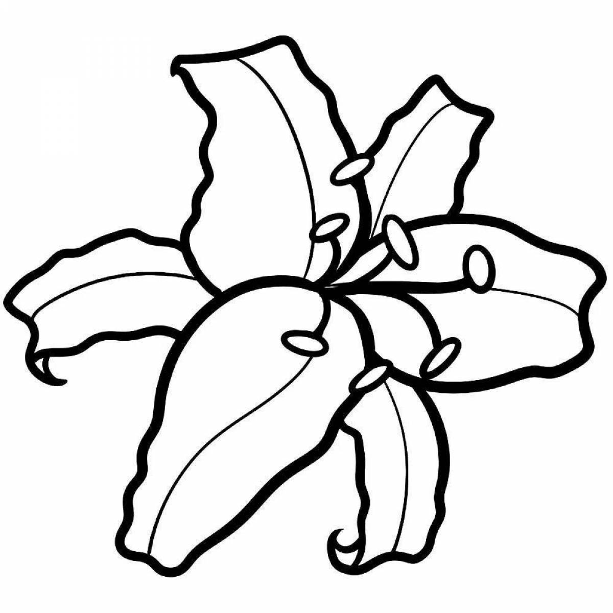 Exquisite lily flower coloring page
