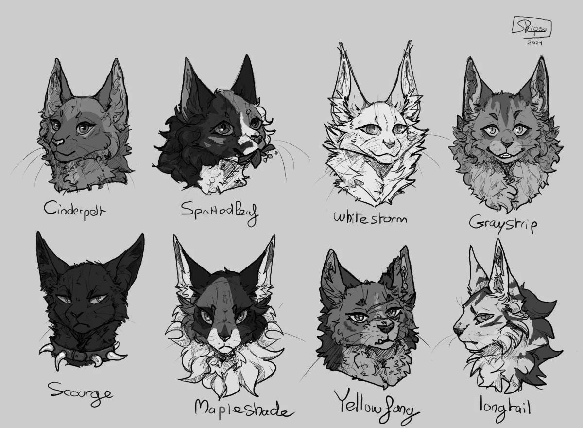 Photo Coloring majestic maple