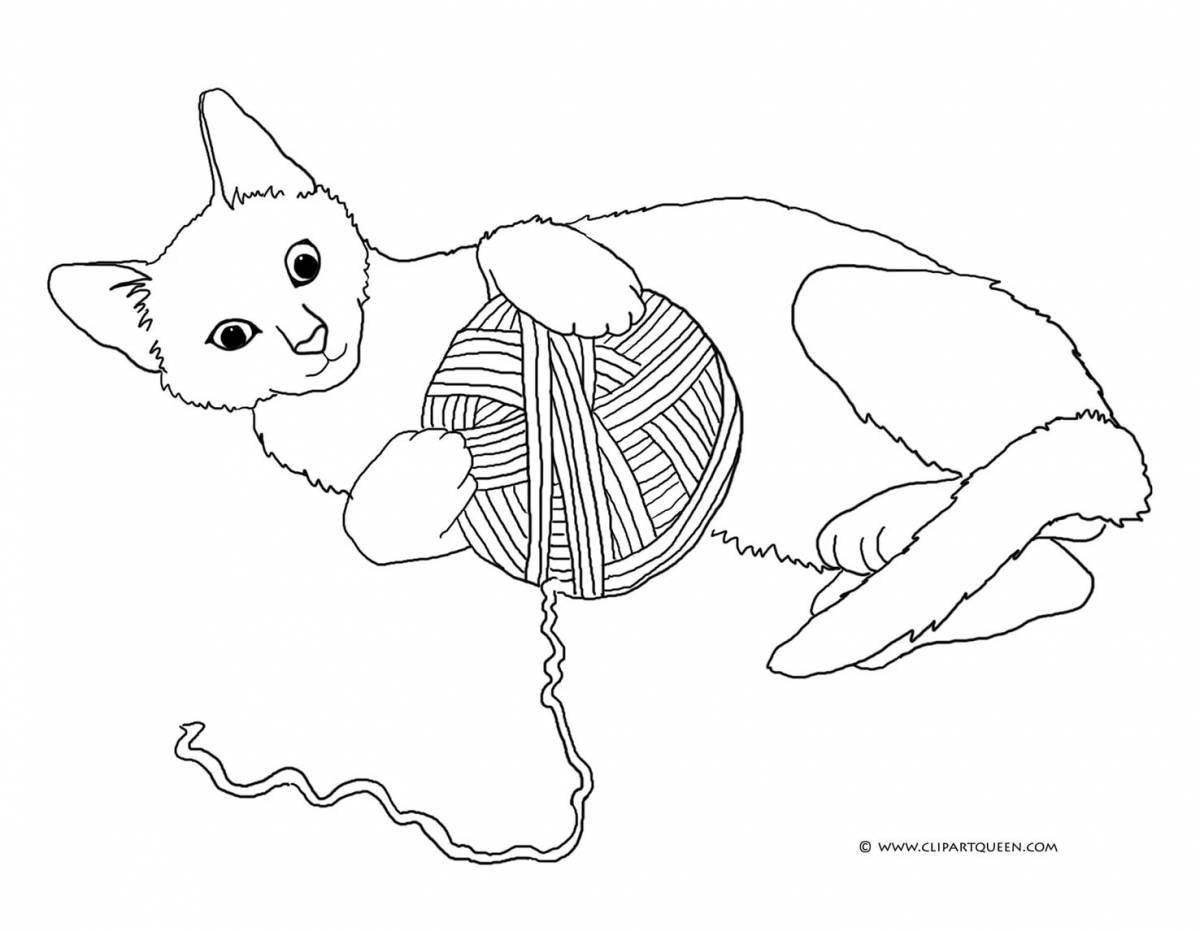 Раскраска пушистый котенок с мячиком