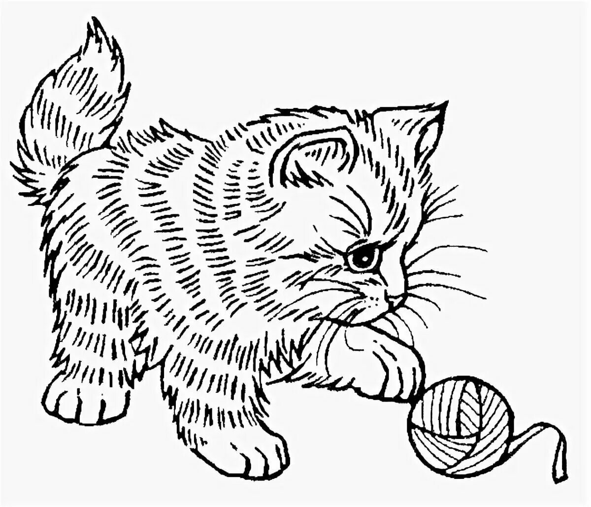 Kitten with ball #5