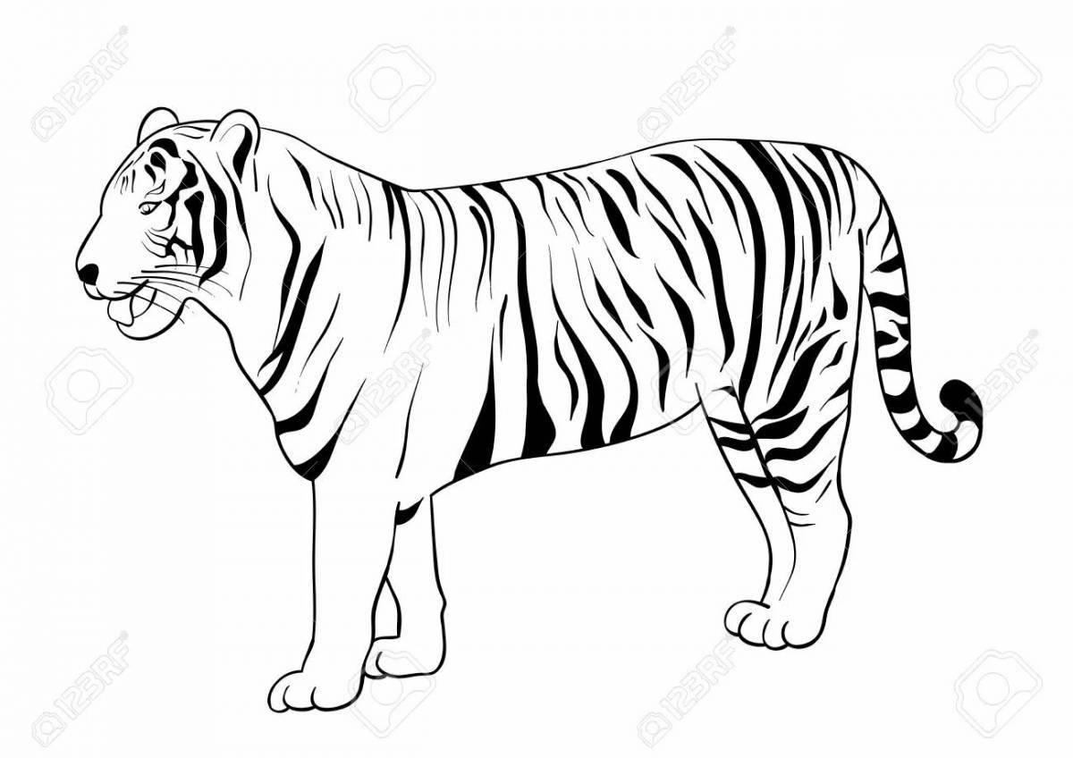 Увлекательная раскраска тигр без полос