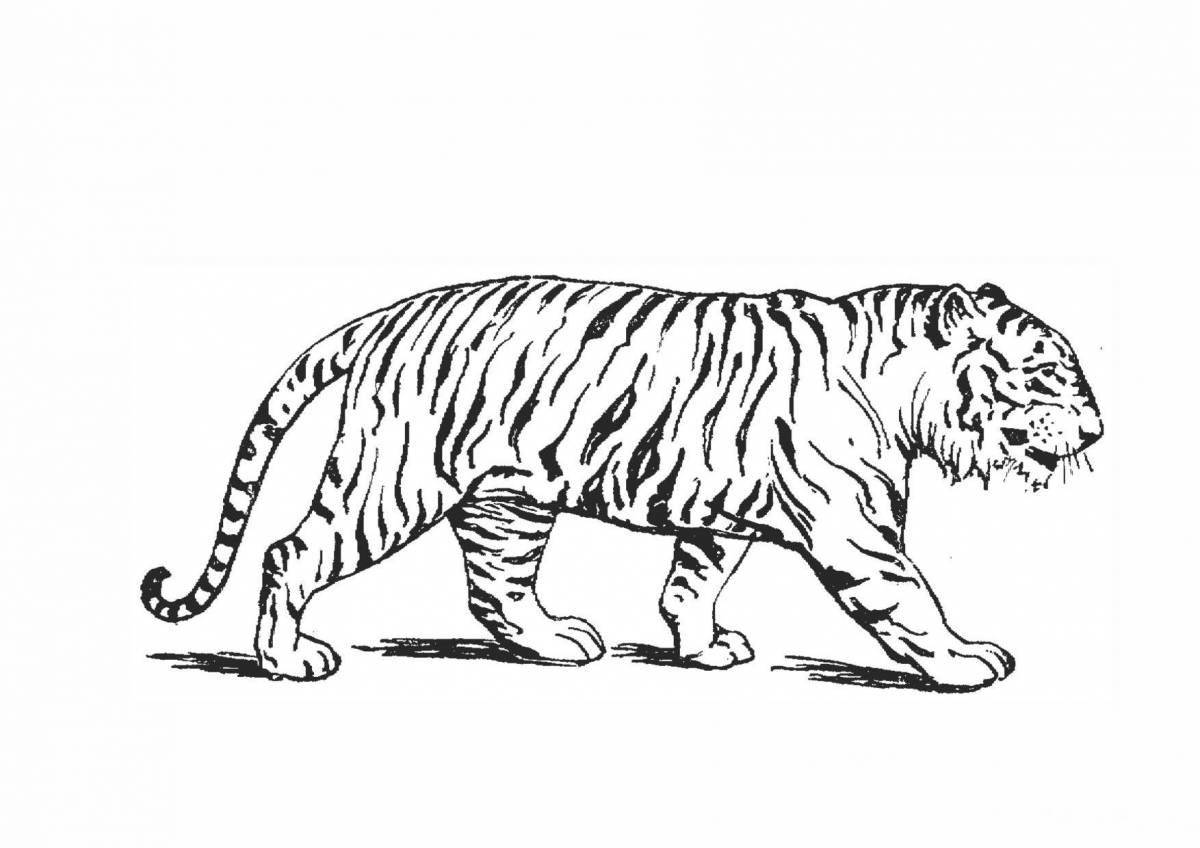 Светящаяся раскраска тигр без полос