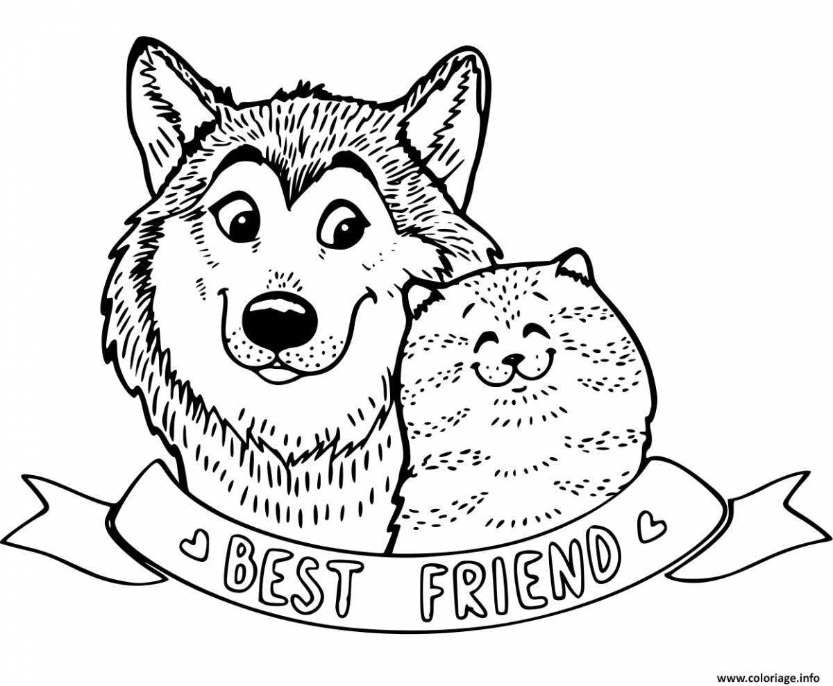 Loving furry best friends