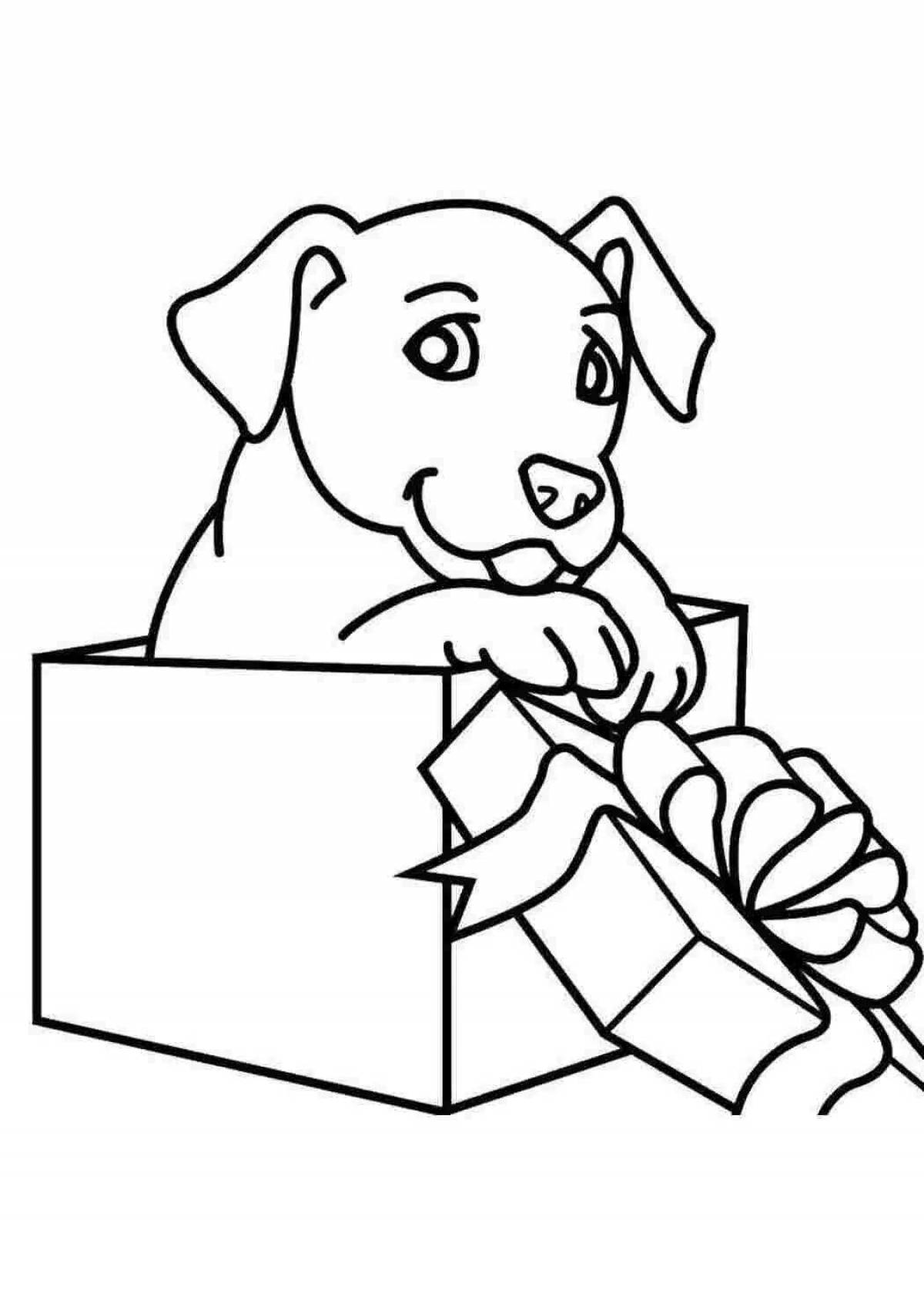 Раскраска щенок в коробке