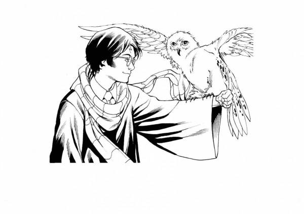 Coloring Pages Harry potter anime (37 pcs) - download or print for free ...