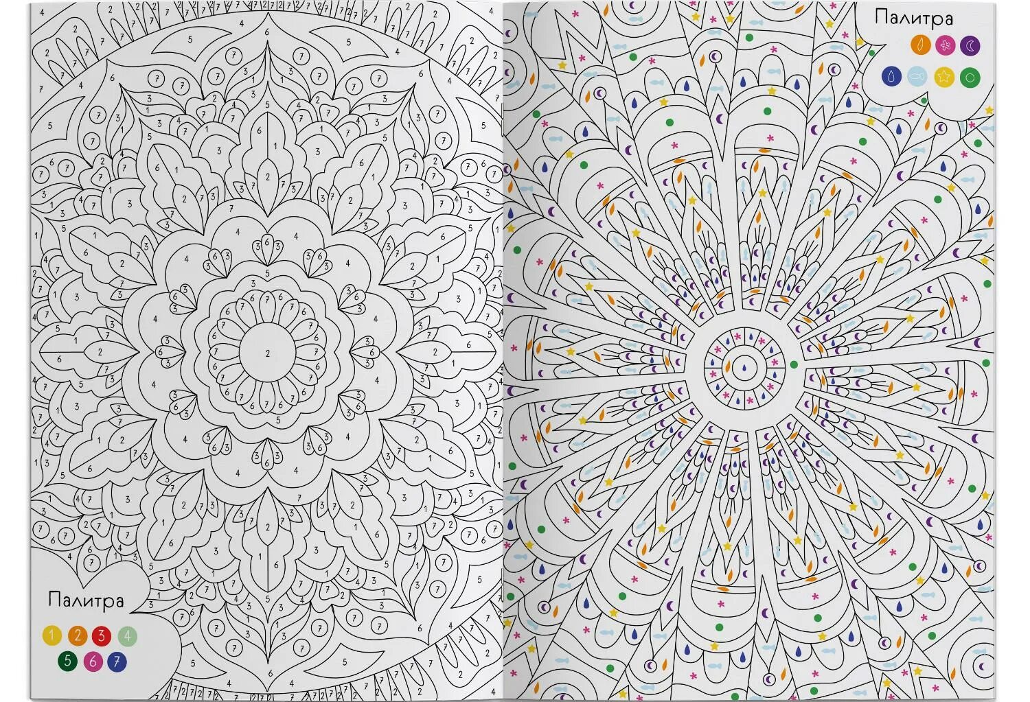 By numbers mandala #6