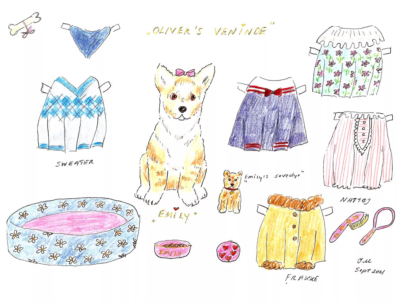 Dog with clothes #5
