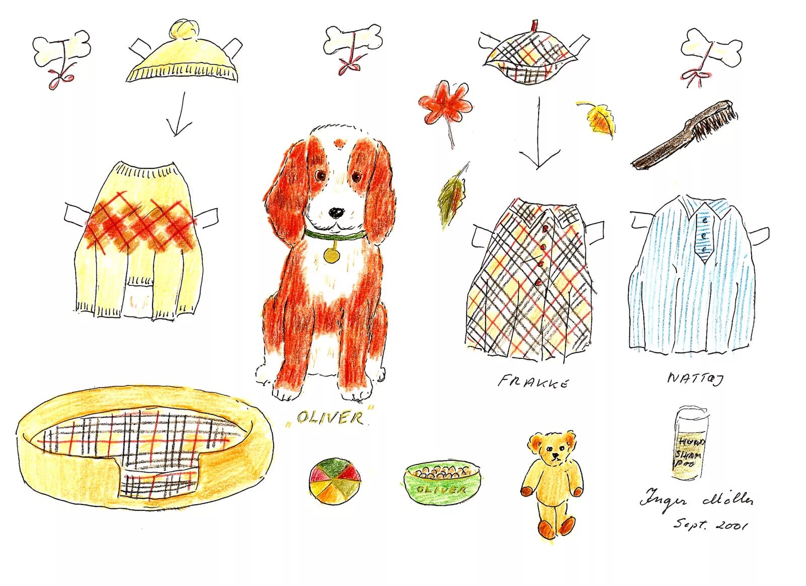 Dog with clothes #7