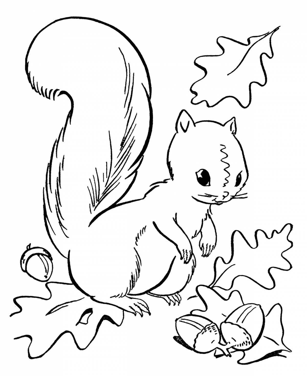 Charming coloring of a squirrel with a bump