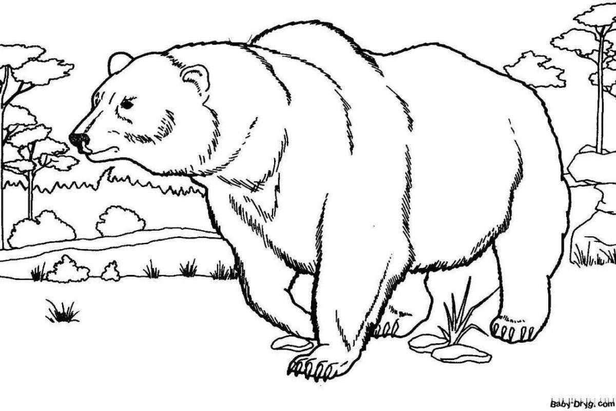 Раскраска великолепный российский медведь