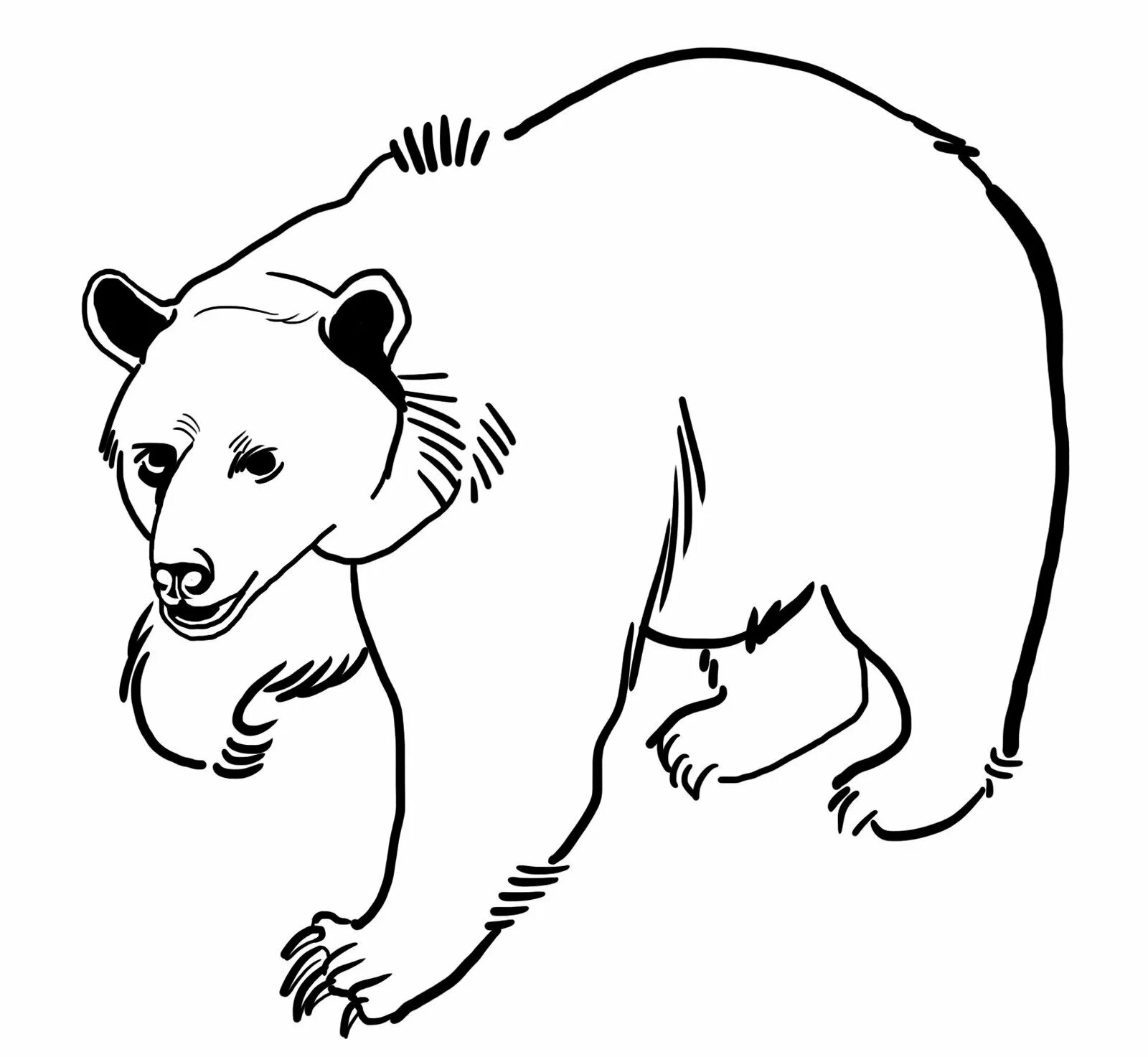 Russian symbol bear #20