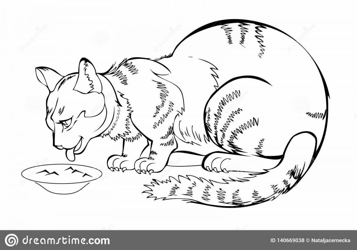 Coloring page wild cat drinking milk