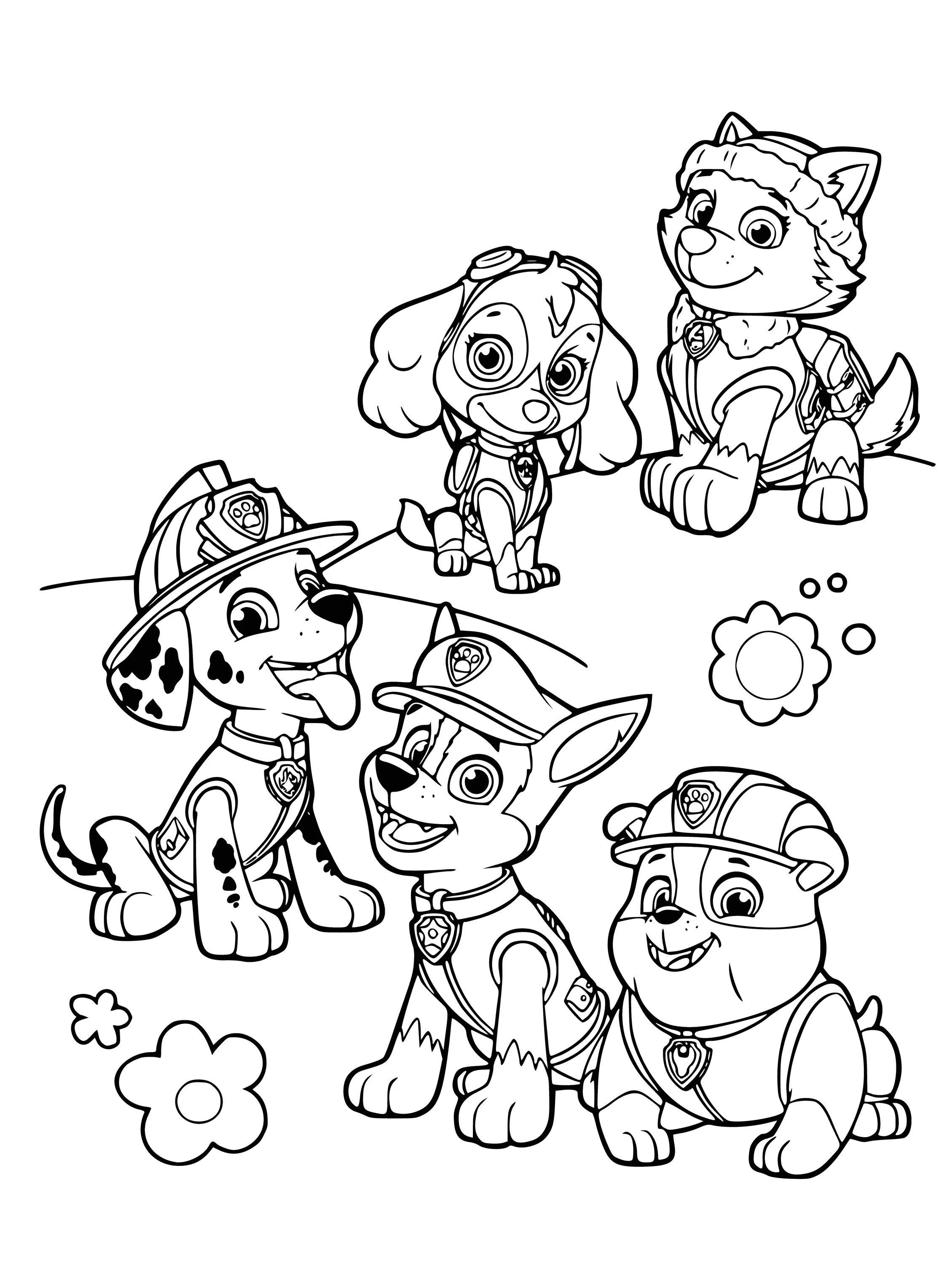 Great coloring paw patrol photo