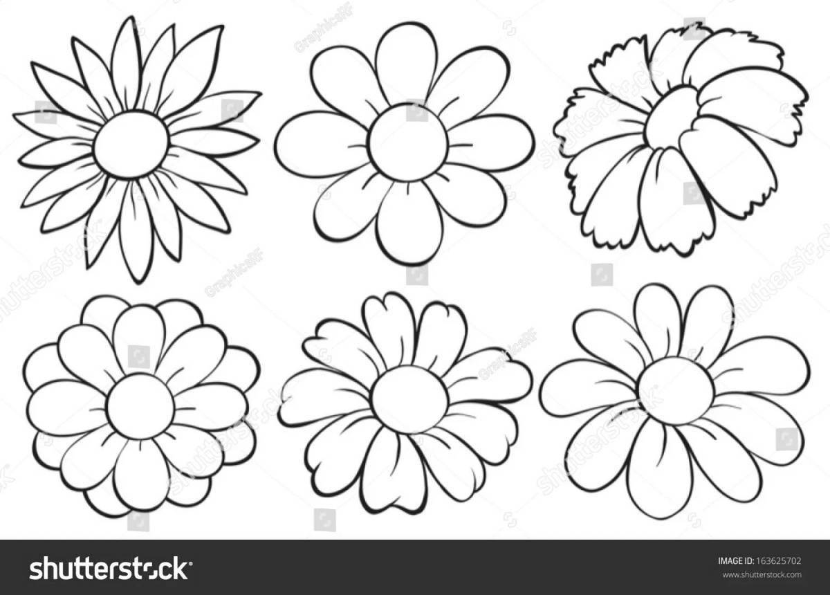 Photo Exquisite flower coloring without stem