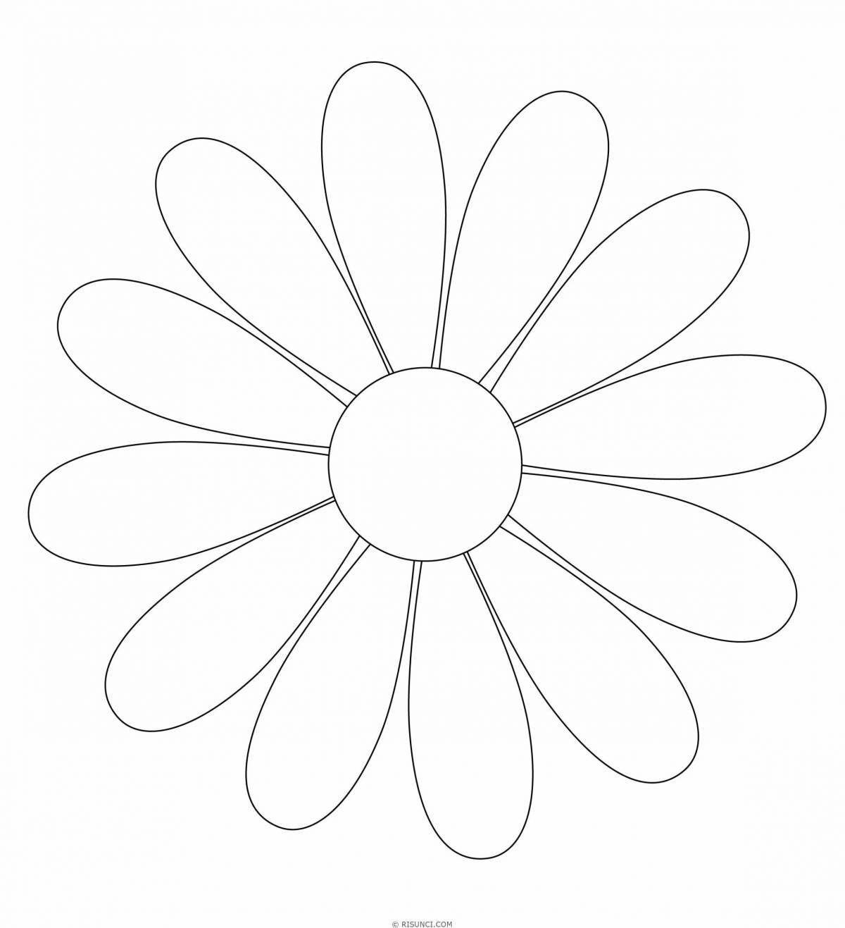 Playful coloring flower without a stem