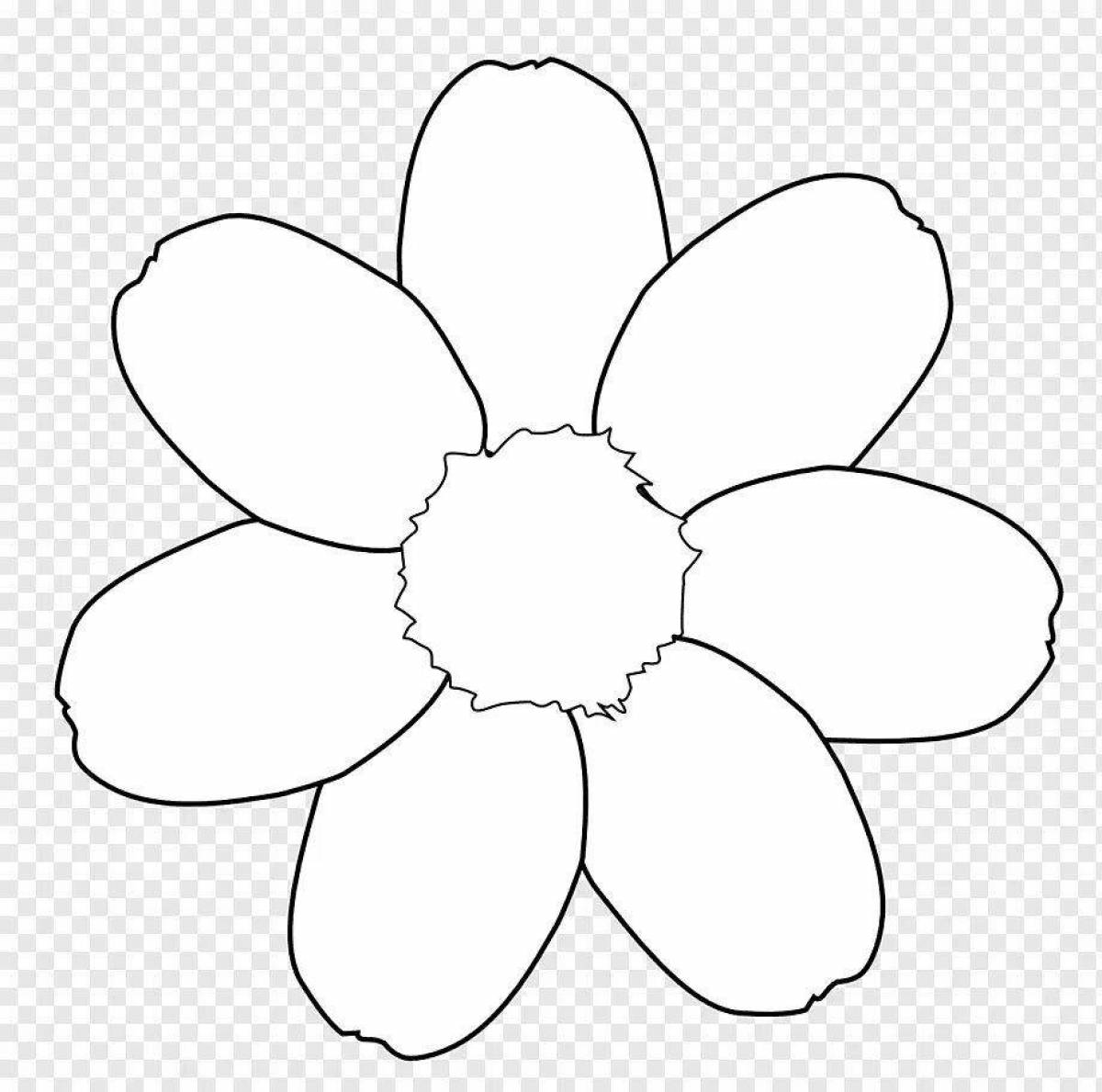 Fancy coloring flower without stem