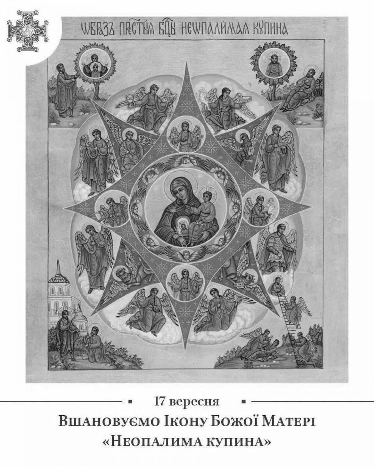 Coloring book bush shining icon