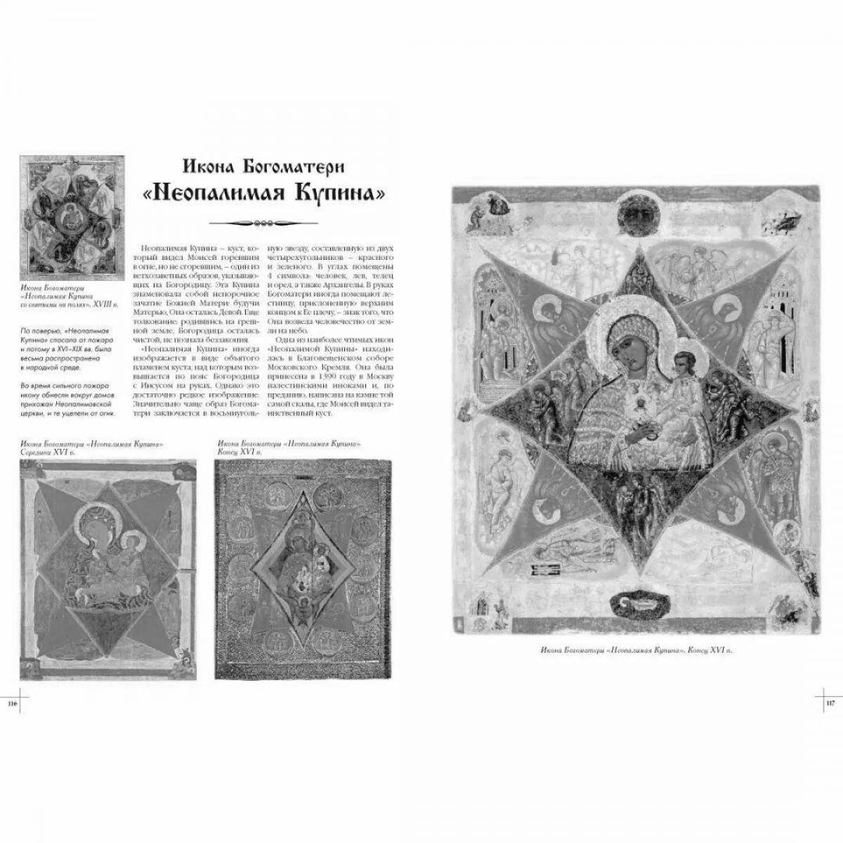 Dazzling Bush Icon coloring page