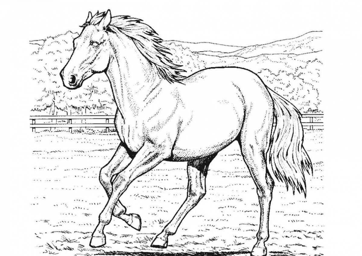 Анимированная раскраска лошадь в яблоках