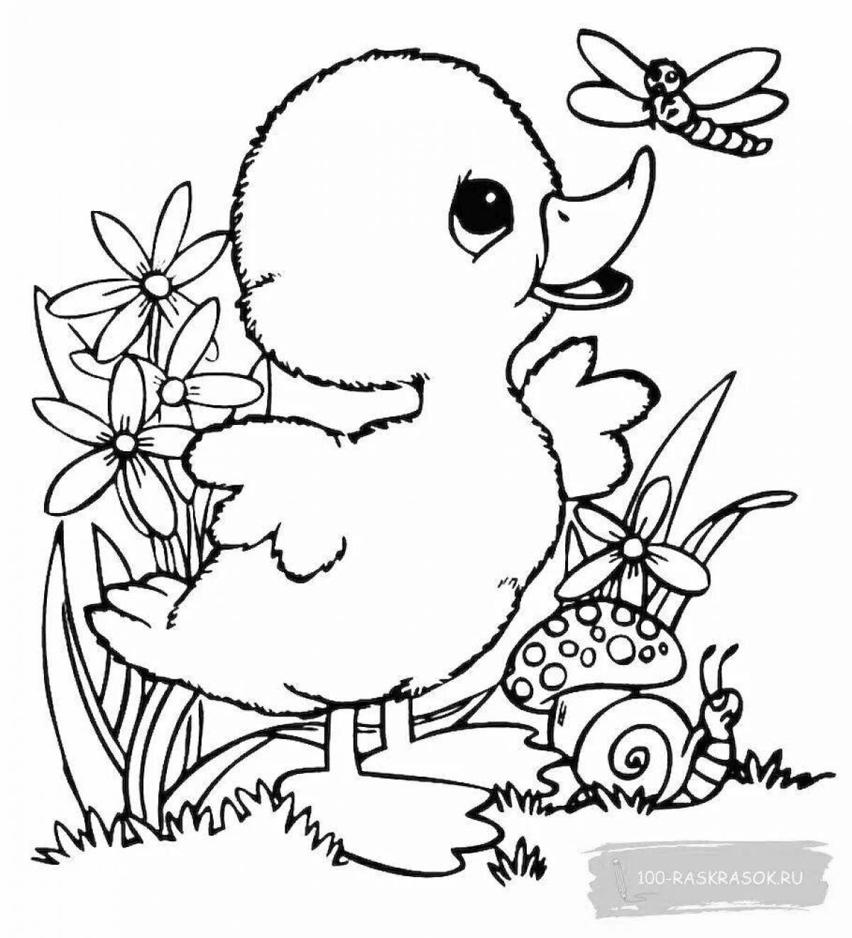 Chicken and duckling coloring page