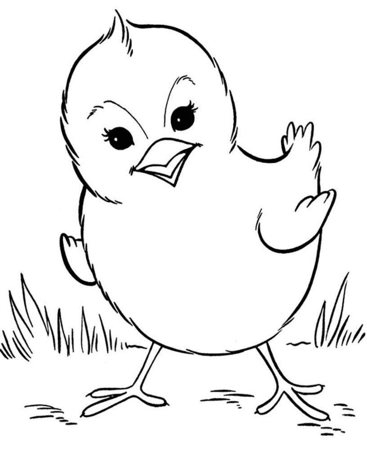 Chicken and duckling fun coloring book