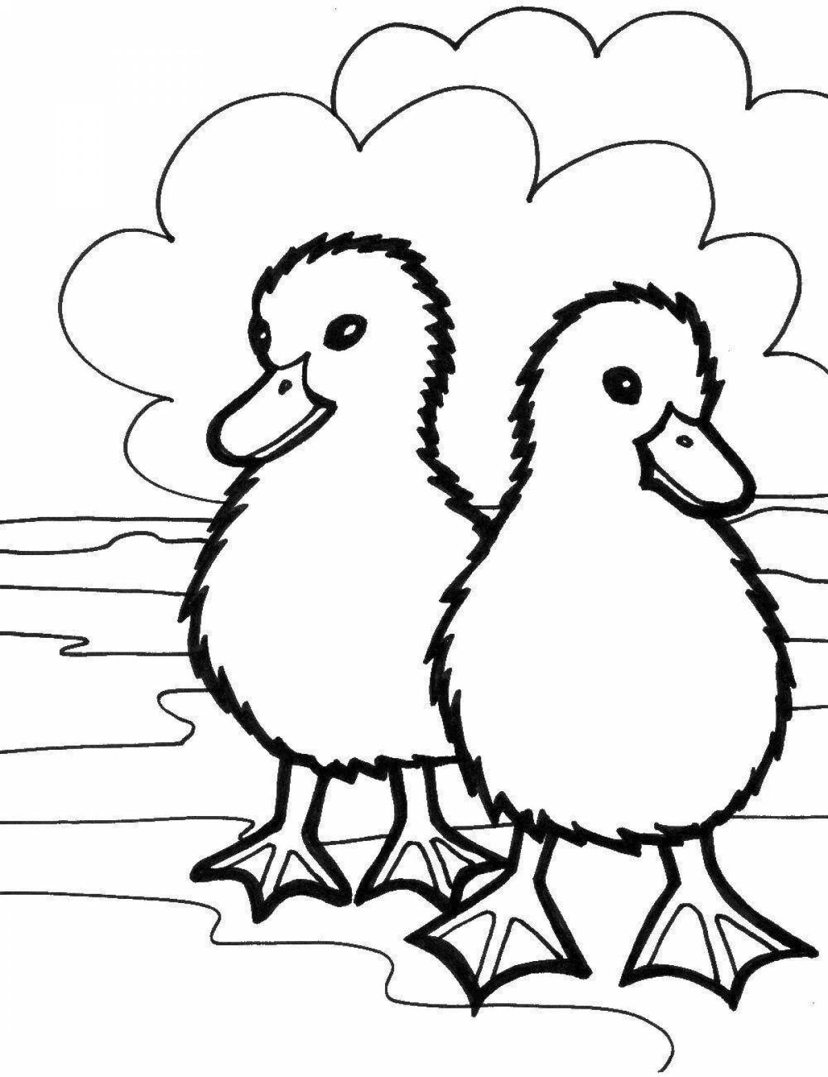 Cute chick and duck coloring book