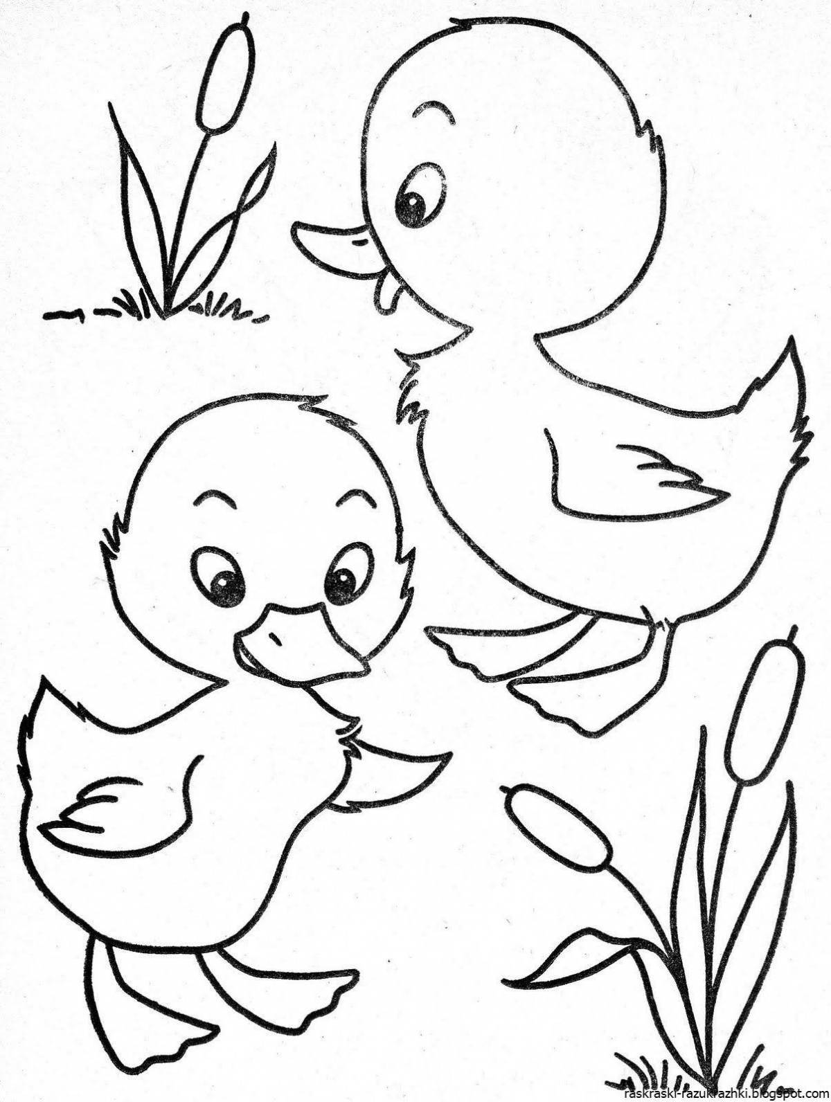 Chicken and duckling coloring book
