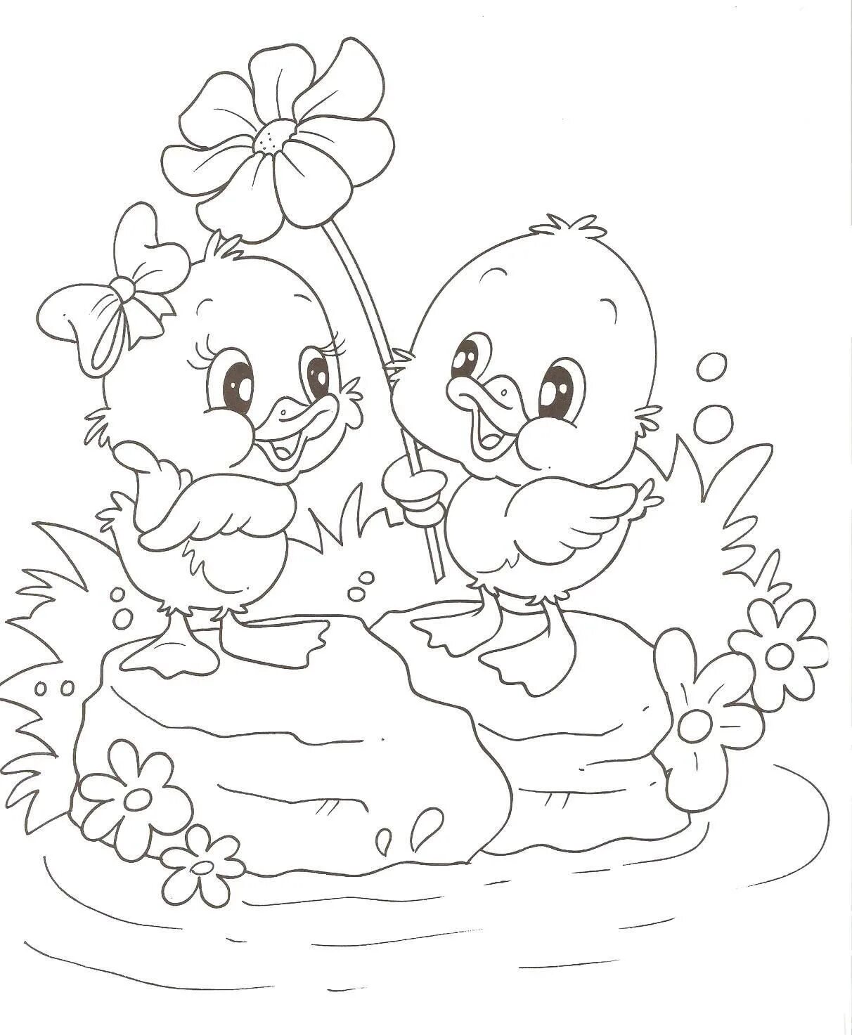 Chicken and duckling #6
