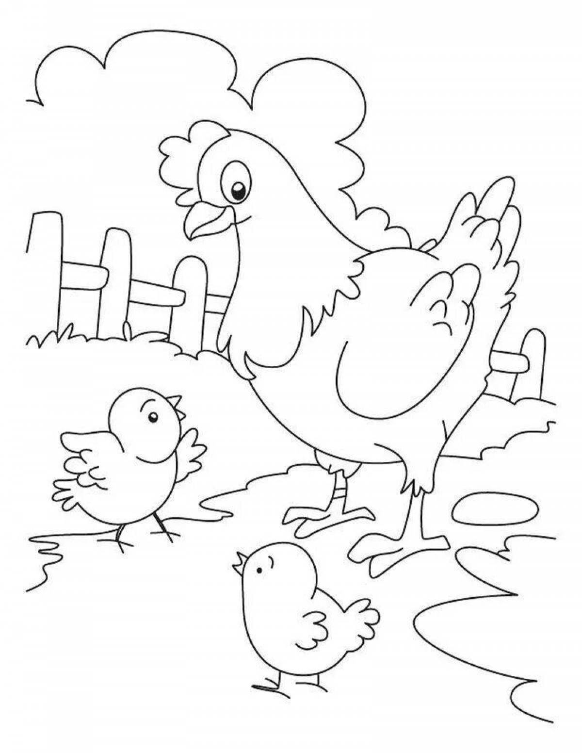 Happy chicken coloring pages for kids
