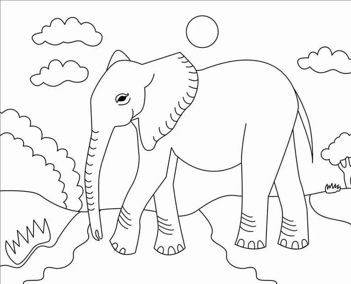 Great coloring page where elephants live
