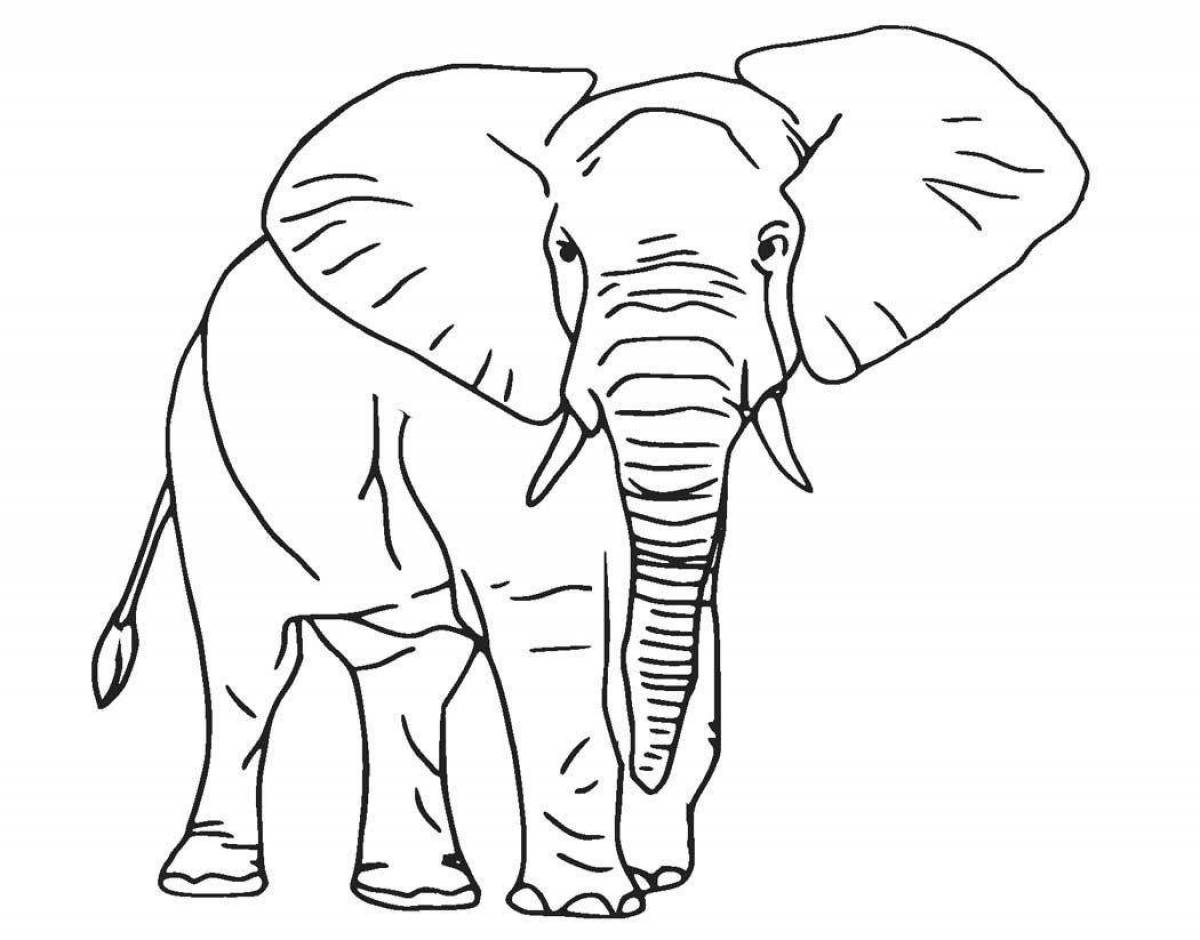 Animated coloring page where elephants live