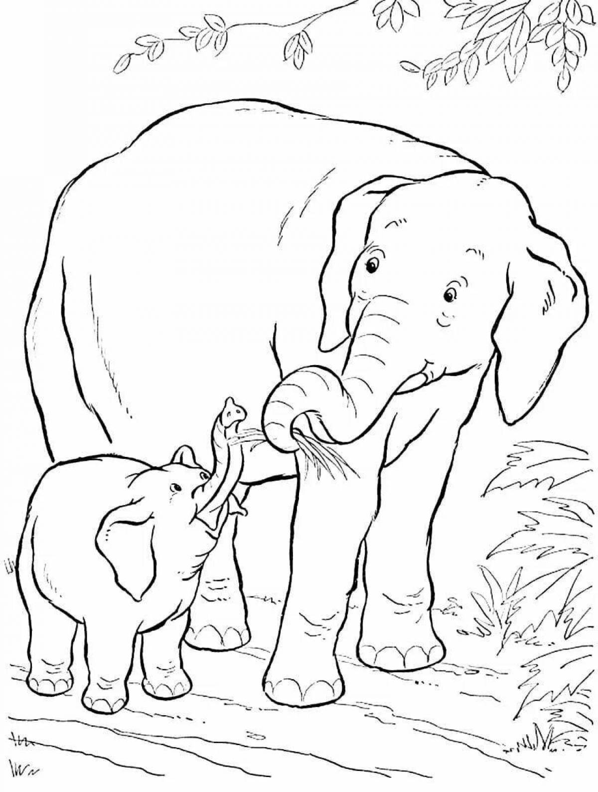Mystical coloring book where elephants live