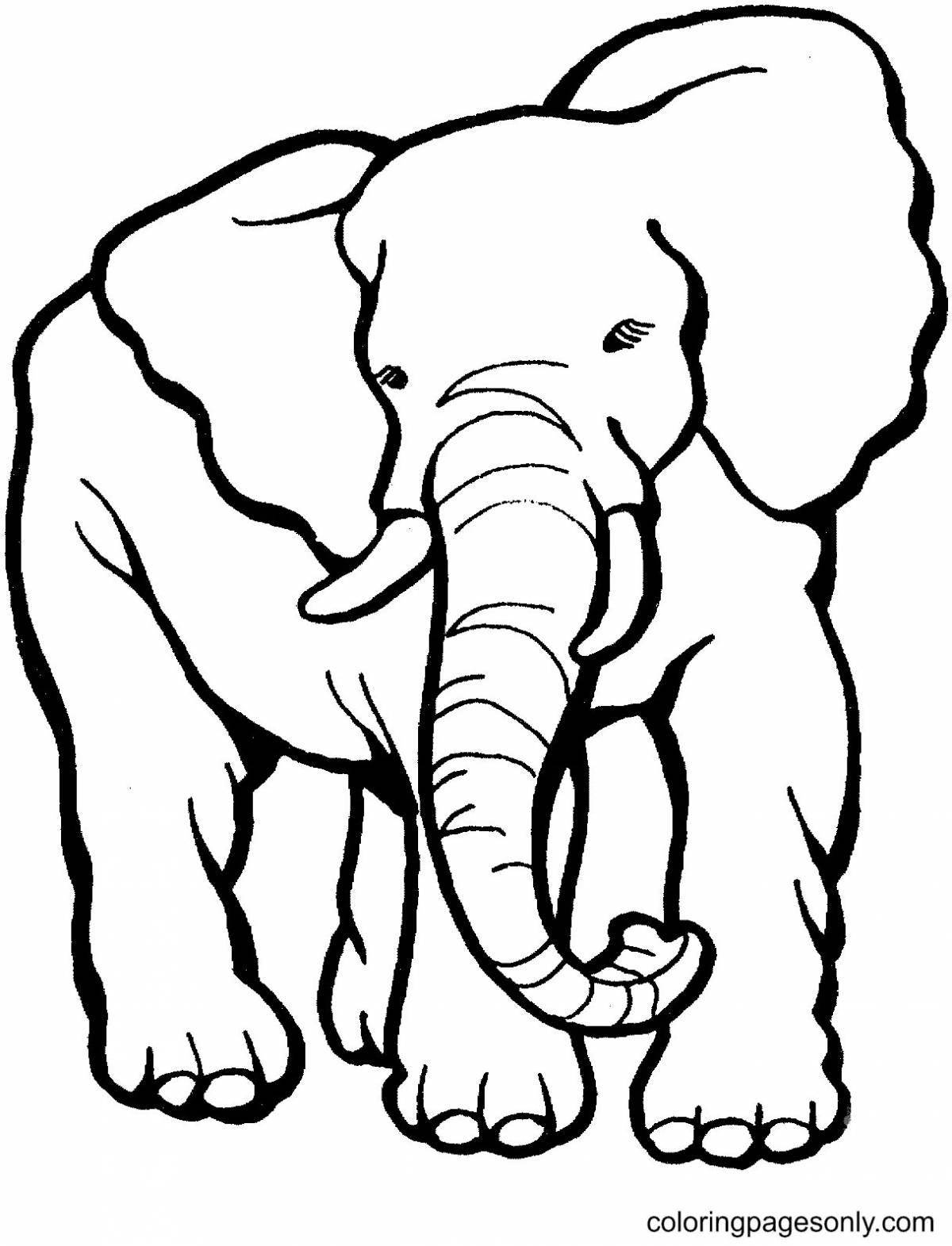 Delicate coloring book where elephants live