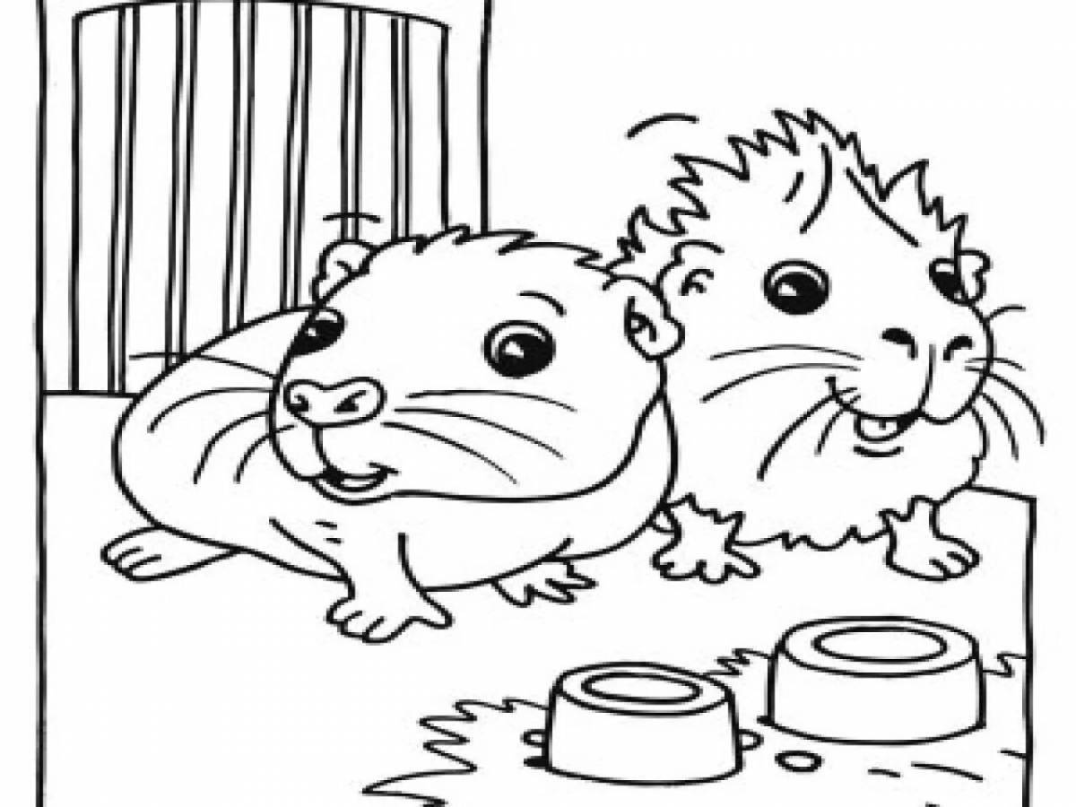 Colorful hamster in a cage coloring book